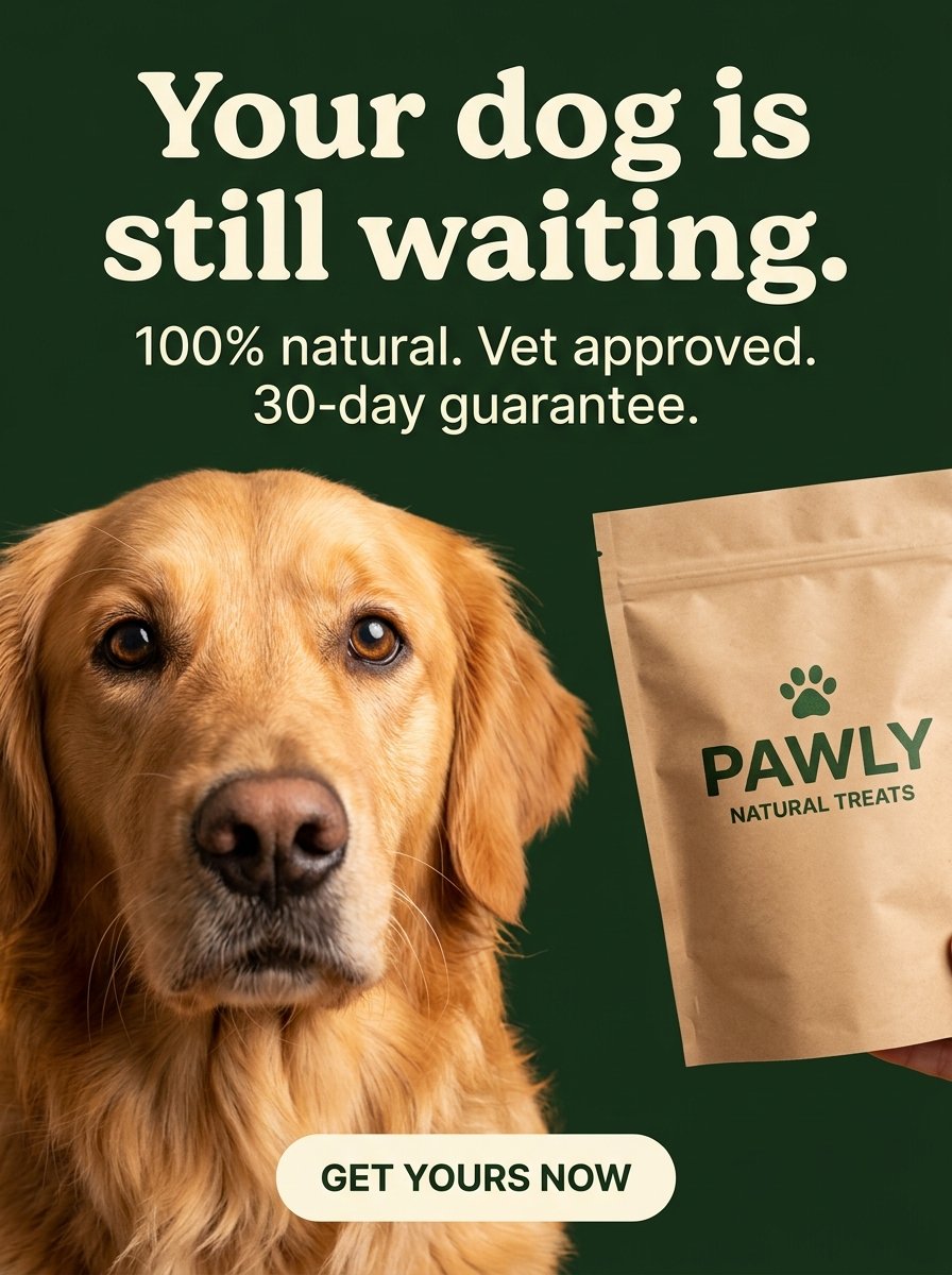 Pawly Retargeting